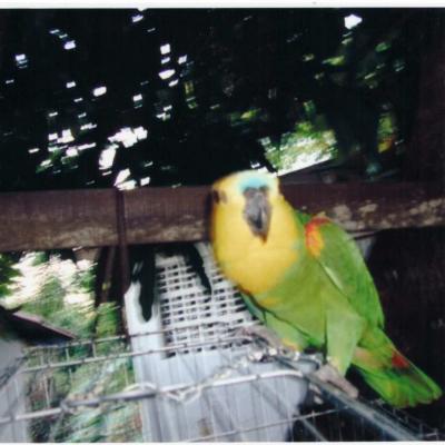 Fotos Do Oya Tola 34