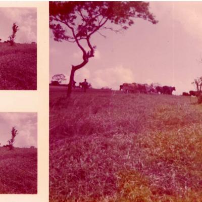 Registros Antigos Fazenda Igreja 20