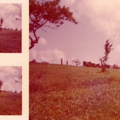 Registros Antigos Fazenda Igreja 3