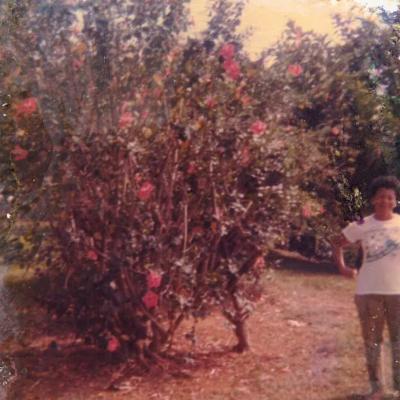 Registros Antigos Pai Bisavo Familiares 7